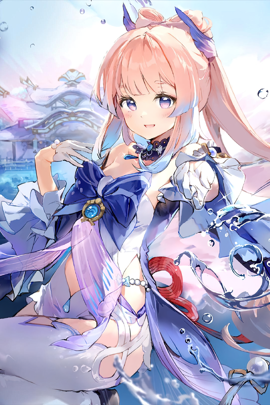 フォトコレクション フォトコレクション